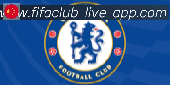 FIFA世界杯买球入口合作伙伴
