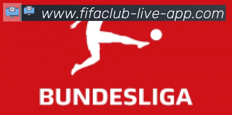 FIFA世界杯买球入口合作伙伴